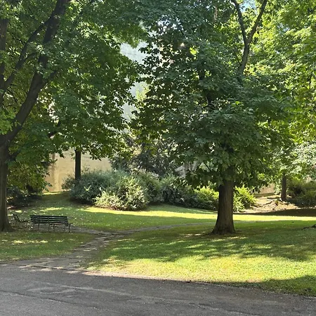 Garden Procaccini * Milano